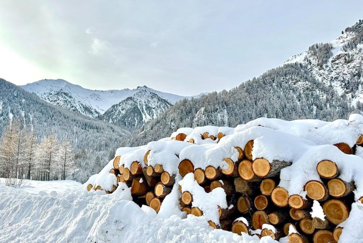 Casa-La Carotto Apart In Chalet Saint Veran 外观 照片